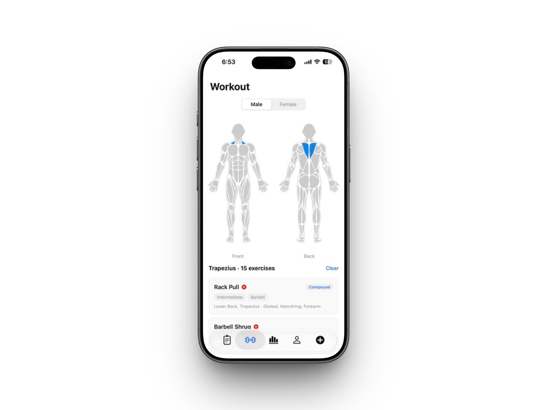 Interactive muscle group body map